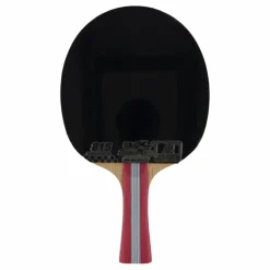 1a+ Table Tennis Racket