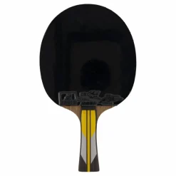 6a+ Table Tennis Racket