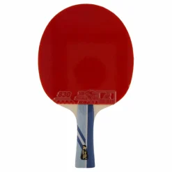 3a+ Table Tennis Racket