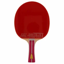 2a+ Table Tennis Racket