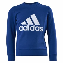 Adidas Boys Essentials Big Logo Sweatshirt Team Royal Blue / White