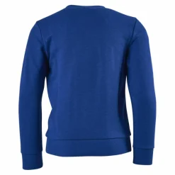 Adidas Boys Essentials Big Logo Sweatshirt Team Royal Blue / White