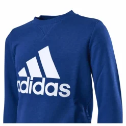Adidas Boys Essentials Big Logo Sweatshirt Team Royal Blue / White