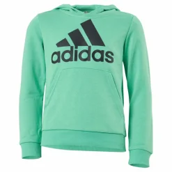 Adidas Boys Essentials Big Logo Hoodie Semi Screaming Green / Black