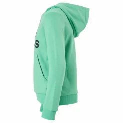 Adidas Boys Essentials Big Logo Hoodie Semi Screaming Green / Black