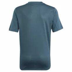 AEROREADY T-Shirt Arcngt/Silvmt