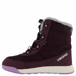 Aery Warm Gtx Sl Grape/lilac
