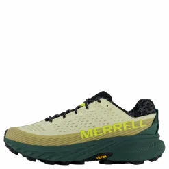 Agility Peak 5 Beach