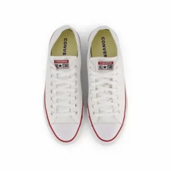 All star Canvas Ox Optical White