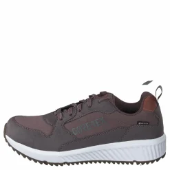 Arena Albertvil Gtx Lavender