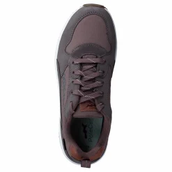 Arena Albertvil Gtx Lavender