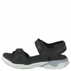 Biom Raft Black