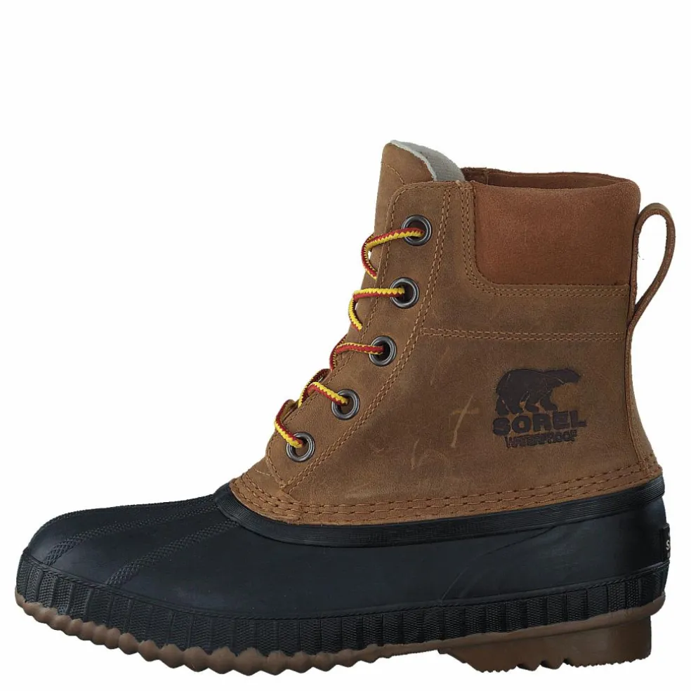 Cheyanne II 224 Chipmunk, Black