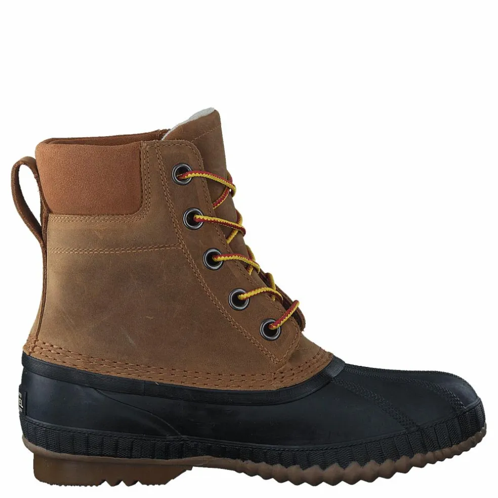 Cheyanne II 224 Chipmunk, Black