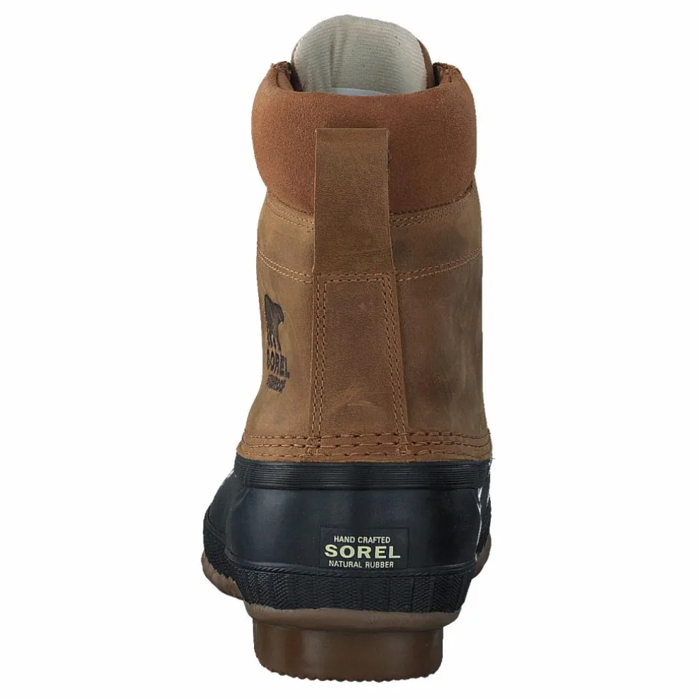 Cheyanne II 224 Chipmunk, Black