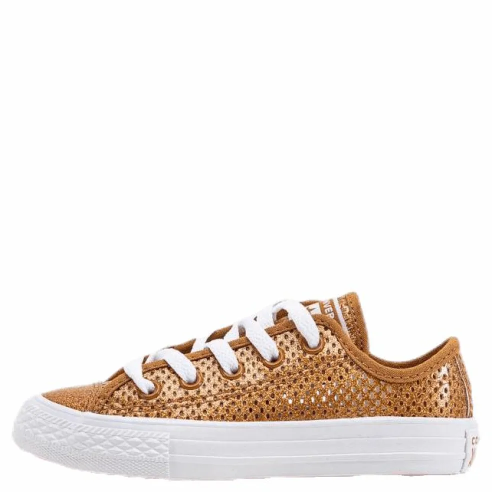 Chuck Taylor All Star Mesh Brown