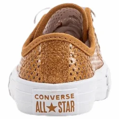 Chuck Taylor All Star Mesh Brown