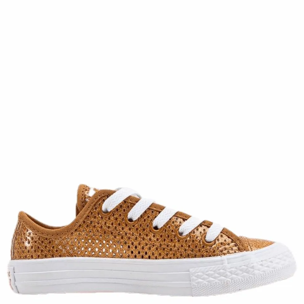 Chuck Taylor All Star Mesh Brown