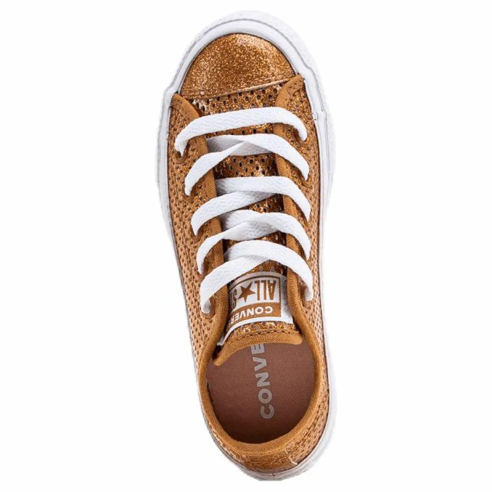 Chuck Taylor All Star Mesh Brown