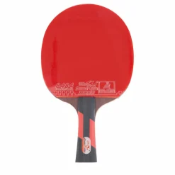 Ck-208 Tournament Table Tennis