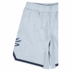 Curry Fleece 9'' Short Harbor