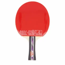 3d-c Table Tennis Racket