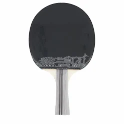 Df-01 Table Tennis Racket