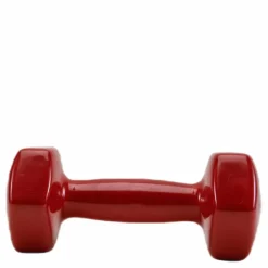 Dumbbell Vinyl 2,7KG/6LBS