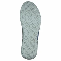 Ecco Biom 2.1 X Country W Moonrock/taupe