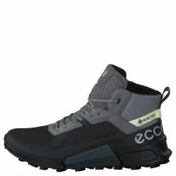Ecco Biom 2.1 X Mountain W Black/steel