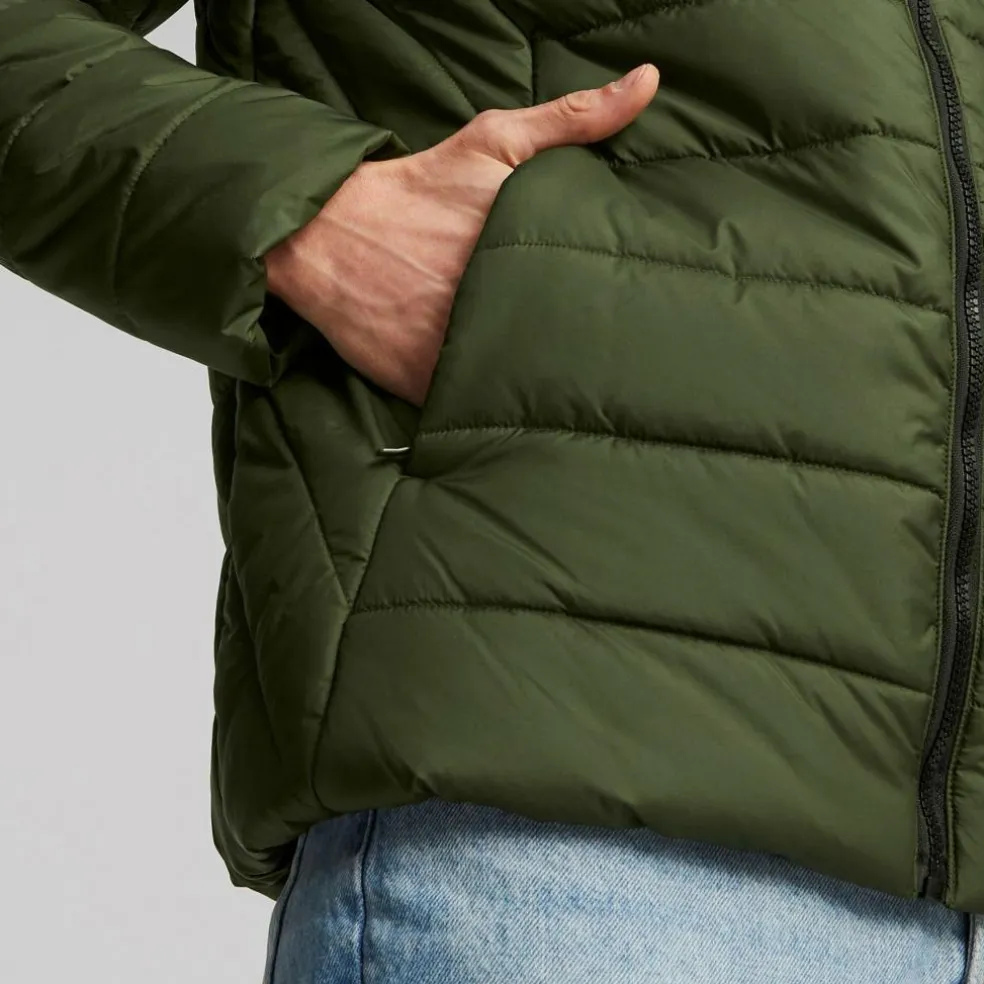 Ess Hooded Padded Jacket Myrtle