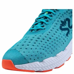 Greyhound Blue/White