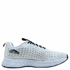 Greyhound White/Black