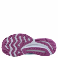 Guide 14 Blue Blaze/berry