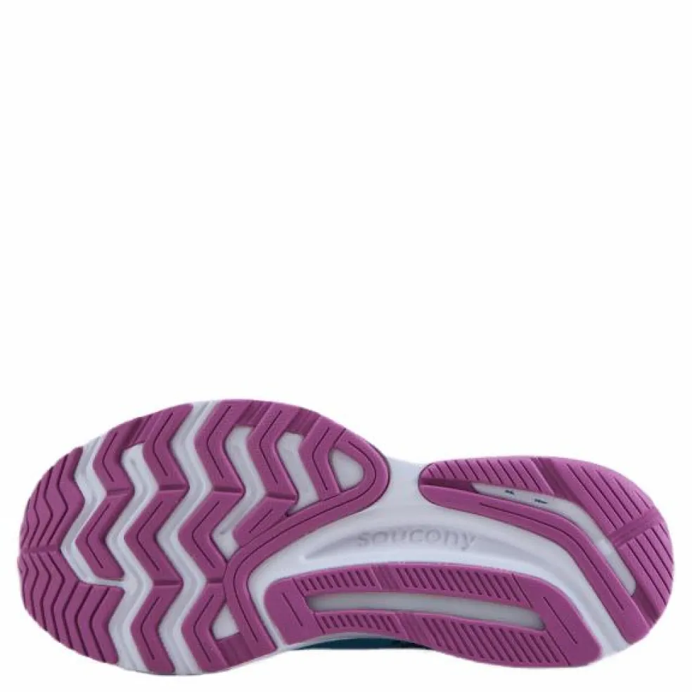 Guide 14 Blue Blaze/berry