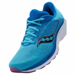 Guide 14 Blue Blaze/berry