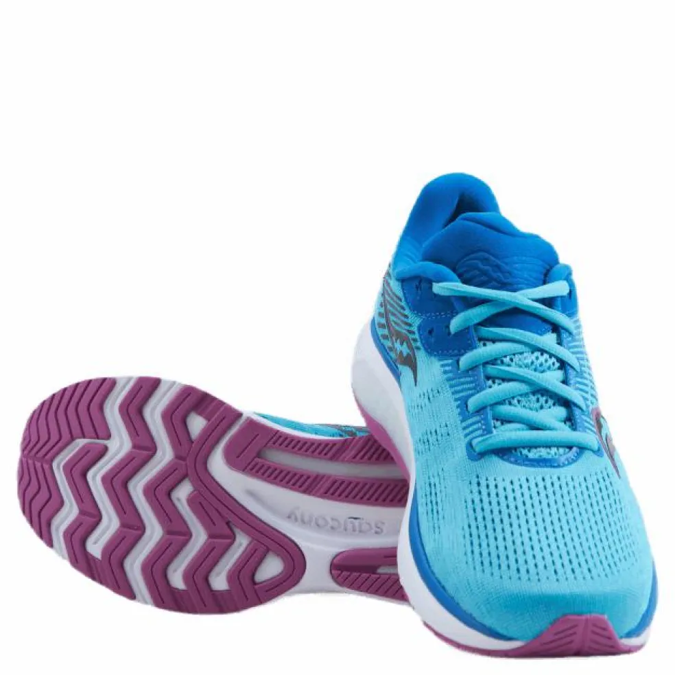 Guide 14 Blue Blaze/berry