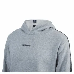 Hooded Sweatshirt Junior Grey