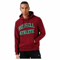 Iconic Twill Hoodie Purple