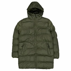 Lane Reg Lo Pe Vin M Otw Forest Night