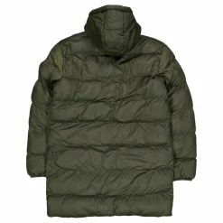 Lane Reg Lo Pe Vin M Otw Forest Night