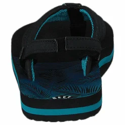 Little Ahi Aqua Palms