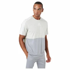 M Cb T Alumin/mgsogr/orbgrn