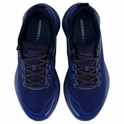 Morphlite Sea/dazzle