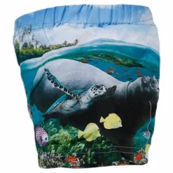 Newton Swim Diaper Blue