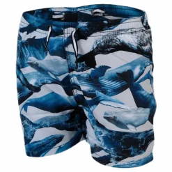 Niko Swim Shorts Blue