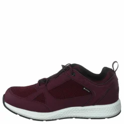 Orbit Smooth Gtx Bordo