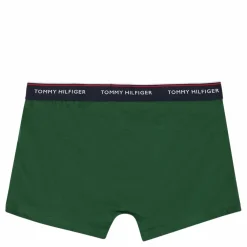 3p Trunk Desert Sky/terrain/primary Red