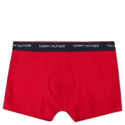 3p Trunk Desert Sky/terrain/primary Red