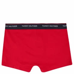 3p Trunk Desert Sky/terrain/primary Red